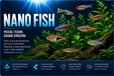 Nano fish