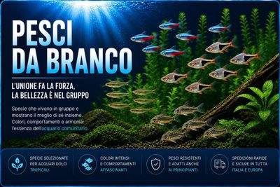 Pesci da branco