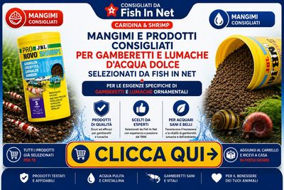 Prodotti consigliati per gamberetti e anfibi