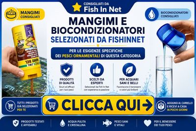 Prodotti selezionati per rainbow fish
