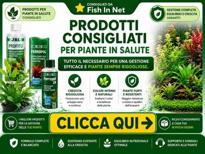 Prodotti consigliati per le piante