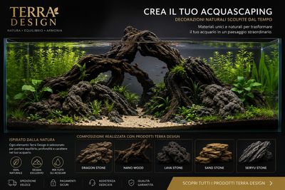 TERRA DESIGN