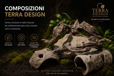 Composizioni Terra Design