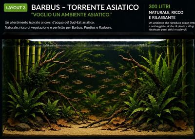 Idee Layout per Acquari per barbus