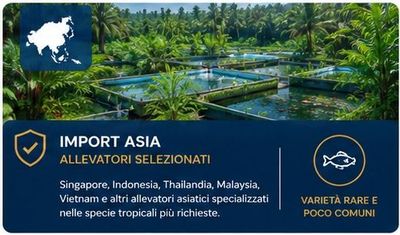 Allevamenti ASIA