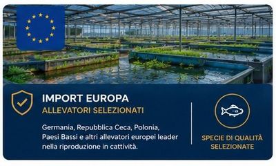 Allevamenti Europei