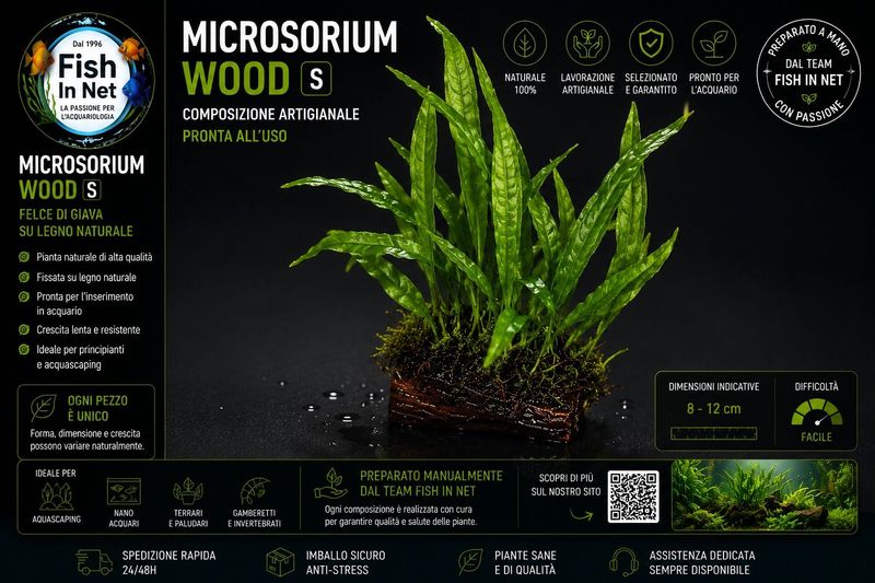 Microsorium Wood S Microsorium Wood S