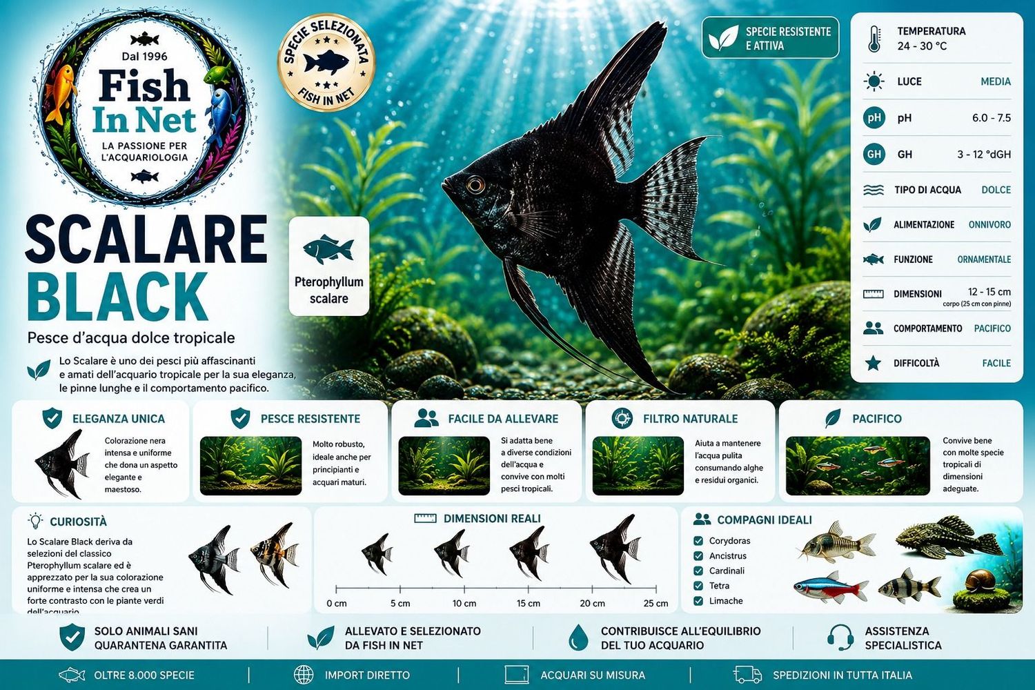 SCALARE BLACK M SCALARE BLACK M