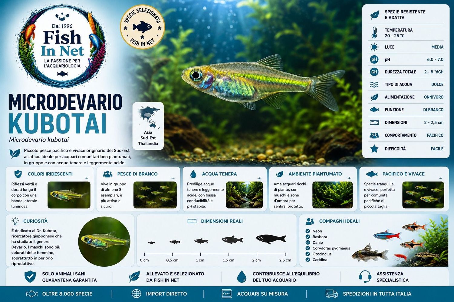 MICRODEVARIO KUBOTAI MICRODEVARIO KUBOTAI