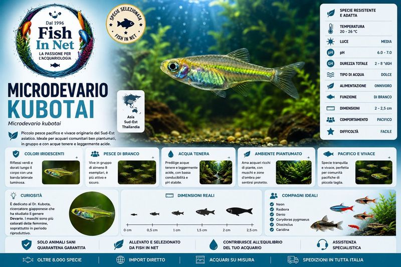 MICRODEVARIO KUBOTAI