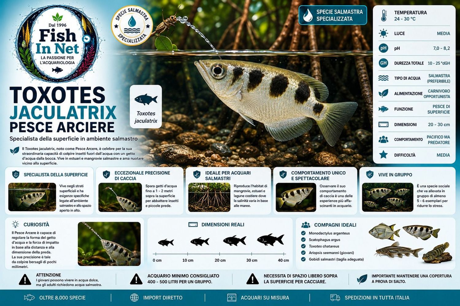 TOXOTES JACULATRIX TOXOTES JACULATRIX