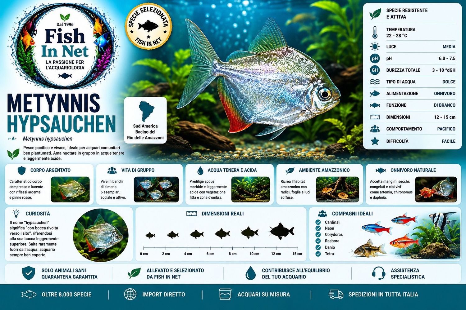 METYNNIS HYPSAUCHEN MD METYNNIS HYPSAUCHEN MD