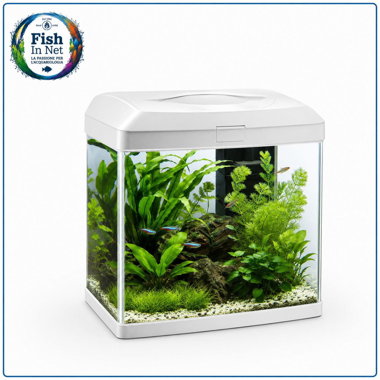 ACQUARIO BILLY 16 BIANCO ACQUARIO BILLY 16 BIANCO