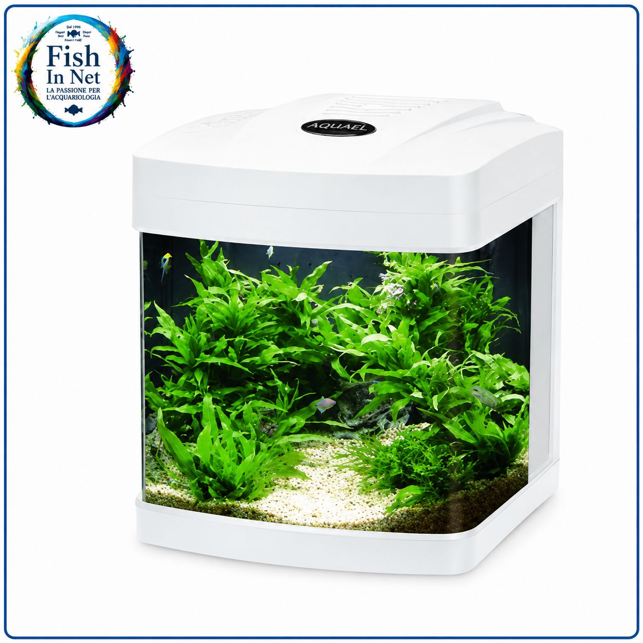 ACQUARIO CUBINO LED BIANCO 26 LITRI ACQUARIO CUBINO LED BIANCO 26 LITRI