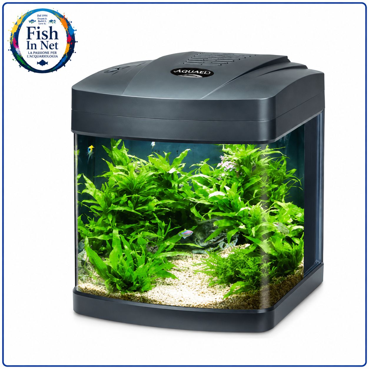 ACQUARIO CUBINO LED NERO 26 LITRI