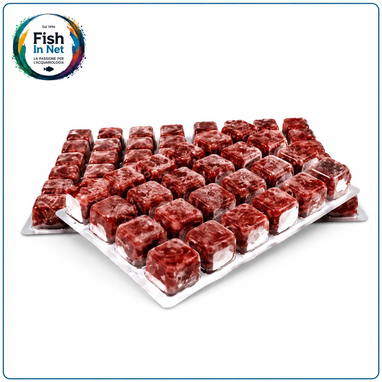 Mangime Congelato Chironomus / Artemia - Confezione da 20 Blister da 100 g Mangime Congelato Chironomus / Artemia - Confezione da 20 Blister da 100 g