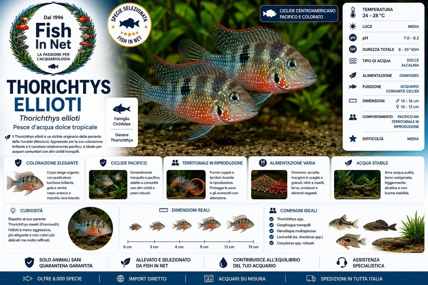 THORICHTYS ELLIOTI md THORICHTYS ELLIOTI md