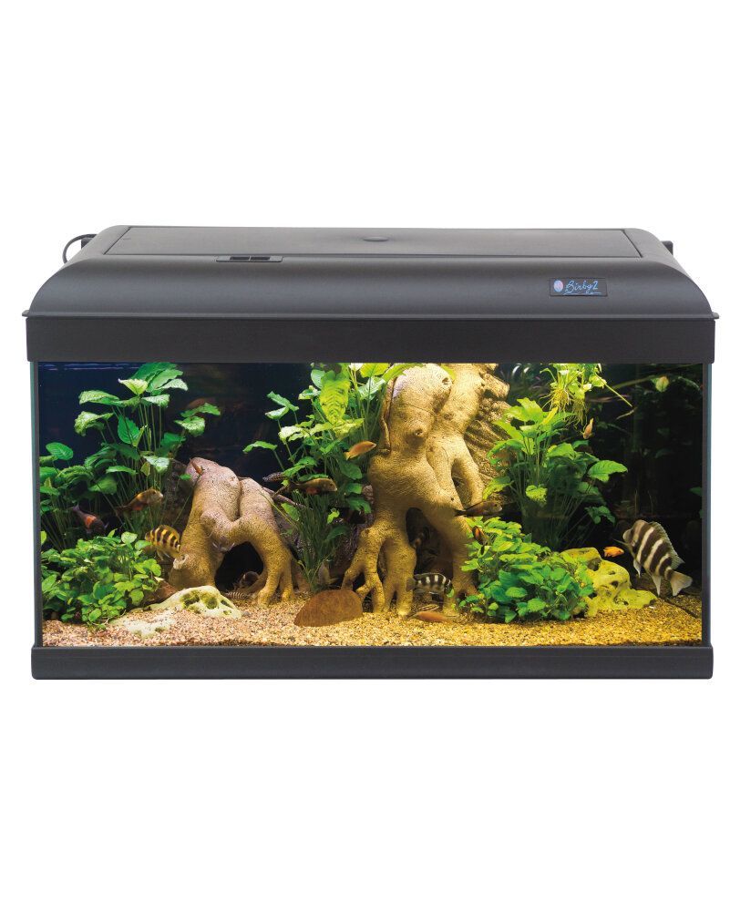 ACQUARIO EVOLUTION 60