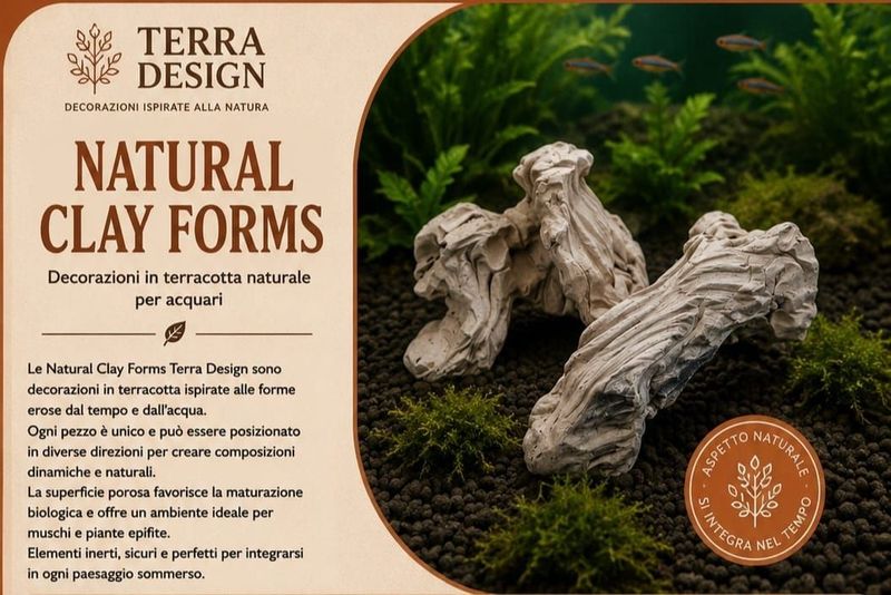 NATURAL CLAY FORMS NATURAL CLAY FORMS