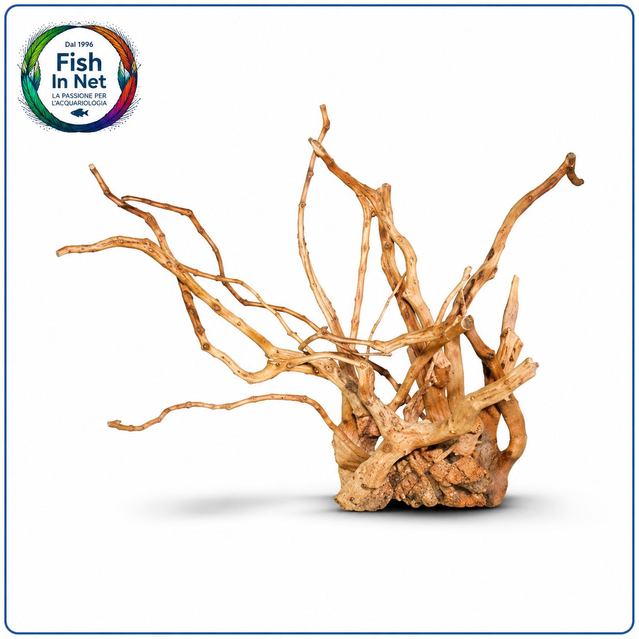 LEGNO DRIFTWOOD LEGNO DRIFTWOOD