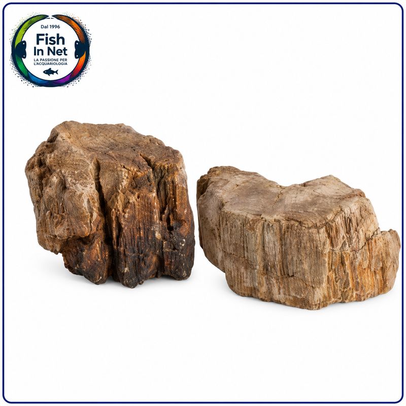 ROCCIA LEGNO PIETRA 20KG (NON CALCAREA) DIMENSIONI ASSORTITE ROCCIA LEGNO PIETRA 20KG (NON CALCAREA) DIMENSIONI ASSORTITE