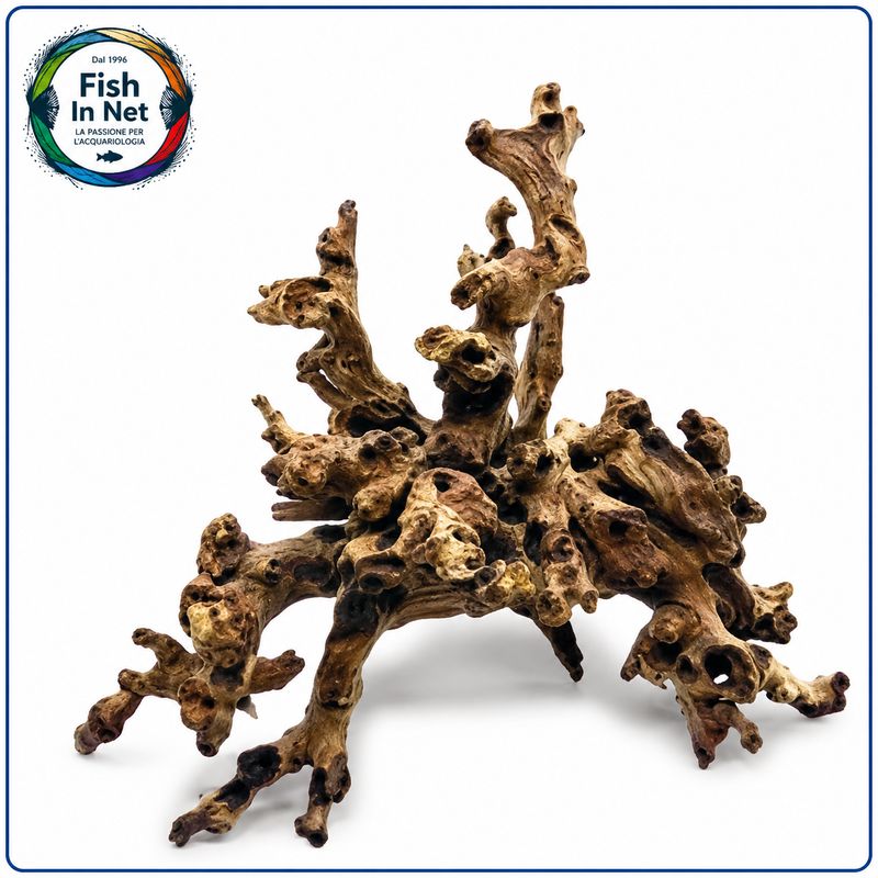 LEGNO AMAZZONIA LEGNO AMAZZONIA