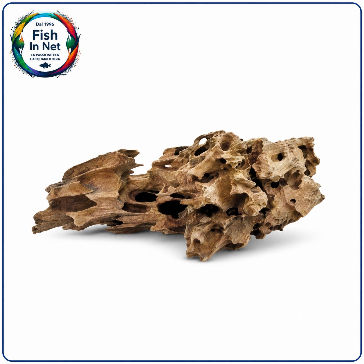 LEGNO HONEYCOMB LEGNO HONEYCOMB