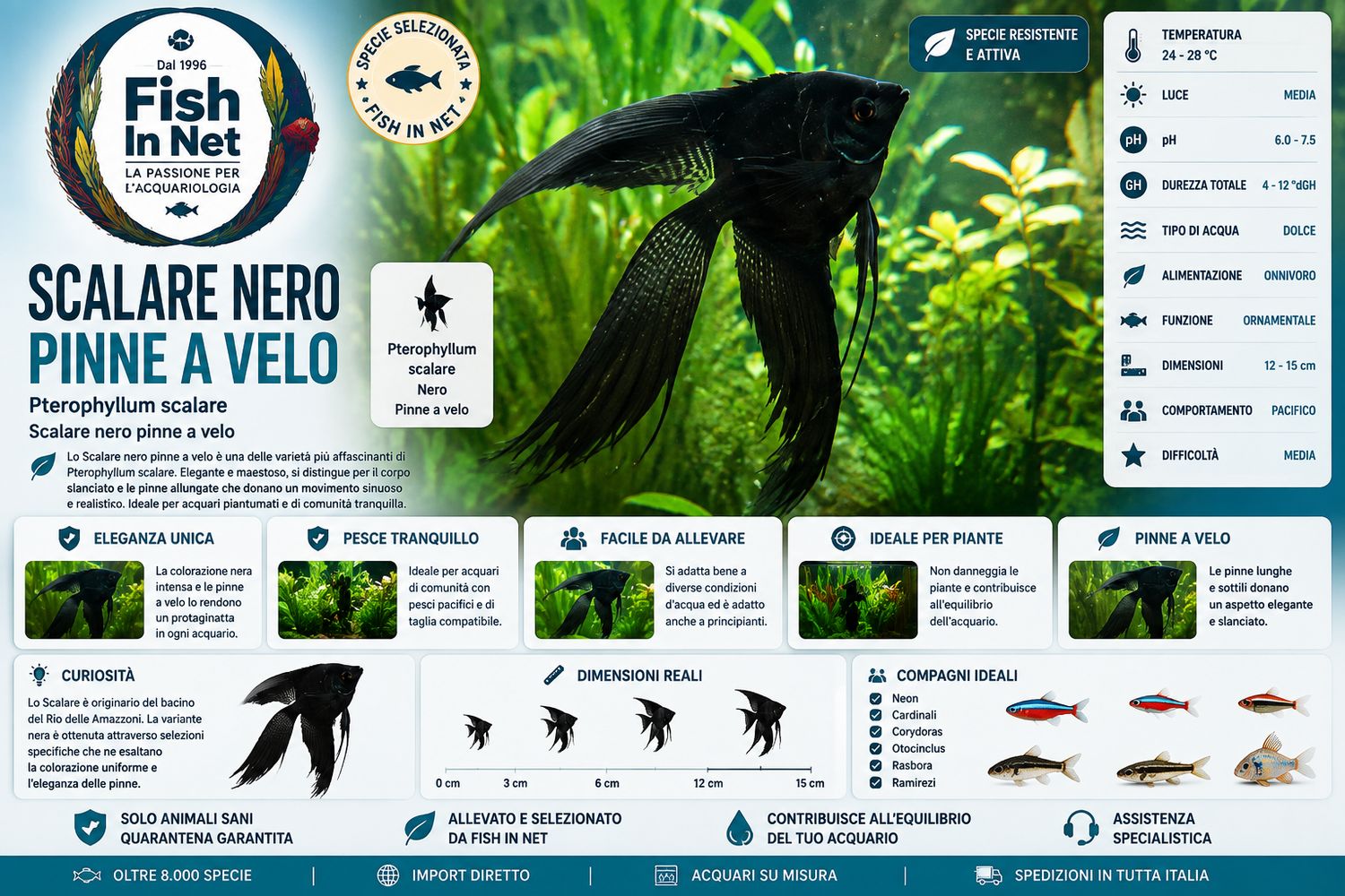 SCALARE BLACK PINNE A VELO