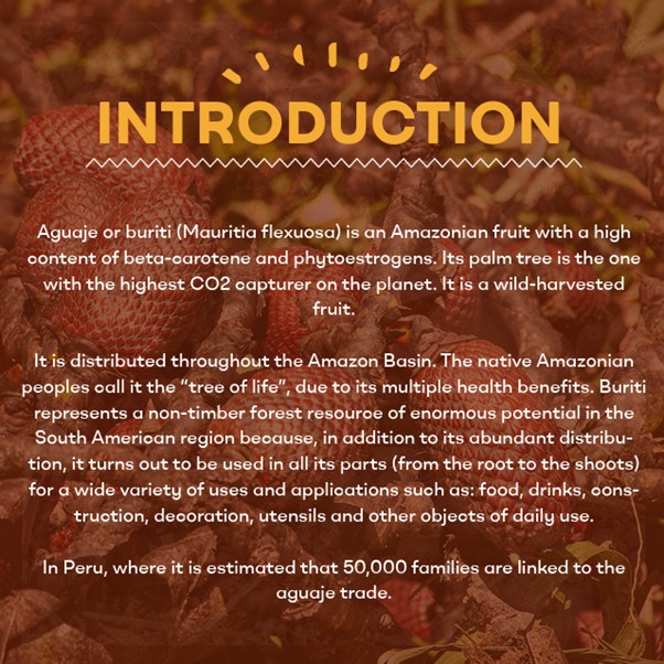 Aguaje Powder - Complete Body Shaping & Toning - Antioxidant Rich, Peruvian Curvy Fruit Beauty Nutrient - 150g