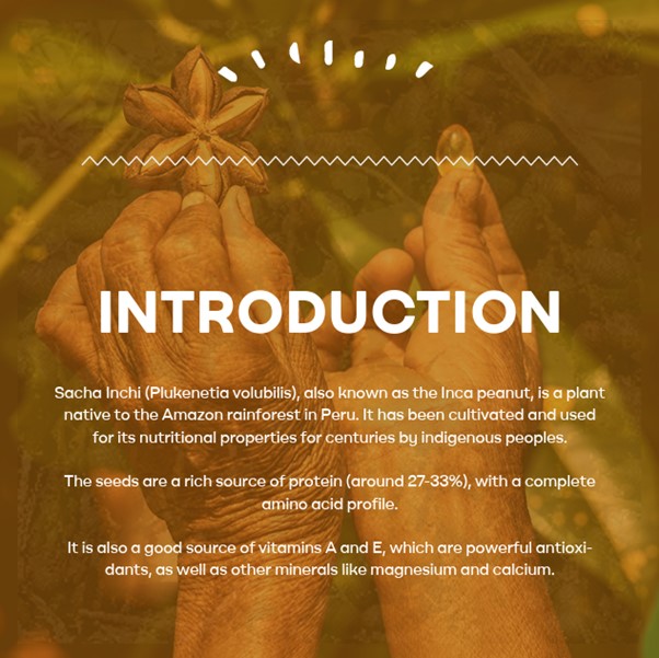 Organic Sacha Inchi Powder 150g - 100% Complete Plant Based  Protein & Lean Muscle Body Energising Premium Nutritional Powerhouse .  9 Essential Amino Acids, Omega 3, 6, 9, Rich In Vitamin A & E.