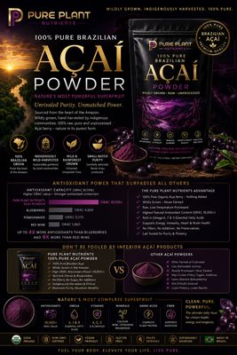 ACAI BERRY POWDER, BRAZILIAN, ORGANIC HIGH GRADE - 150g