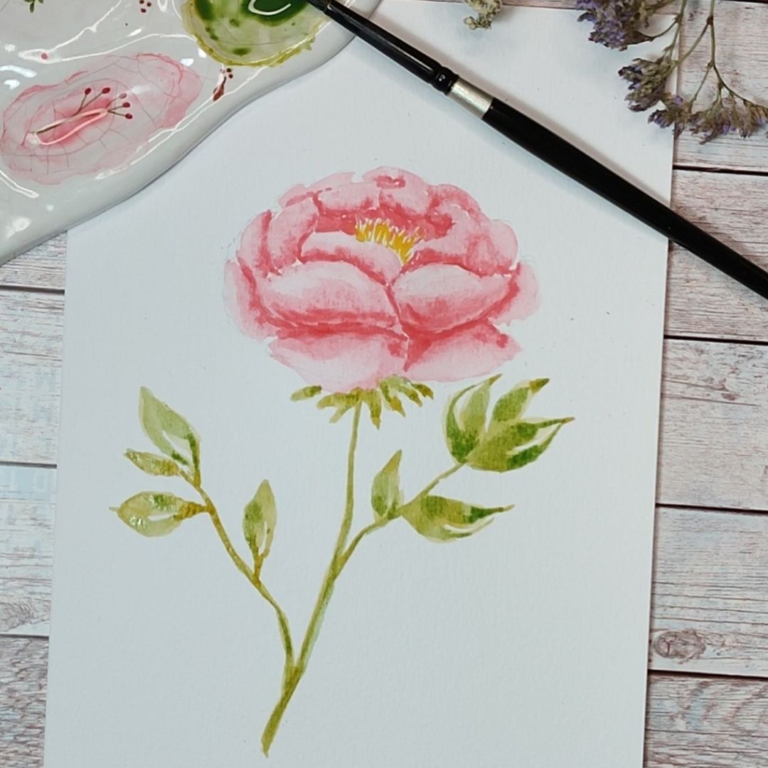 Sketch &quot;Pivoine&quot;