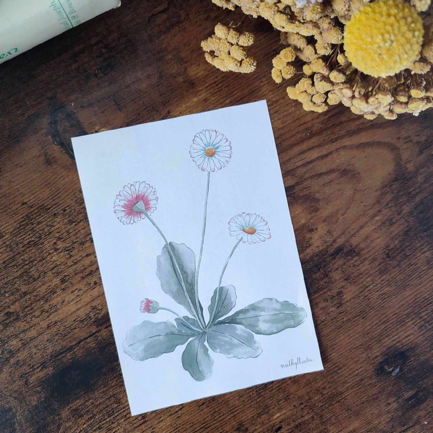 Carte A6 &quot;Pâquerettes&quot;