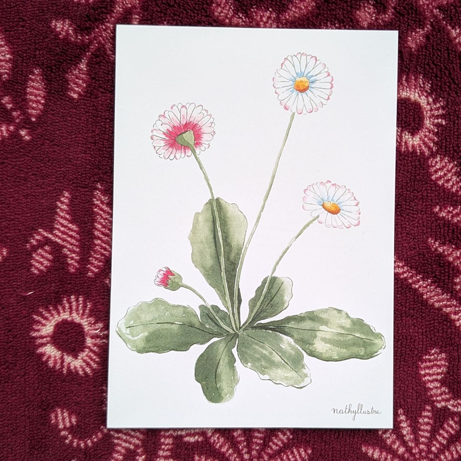 Carte "Pâquerettes"
