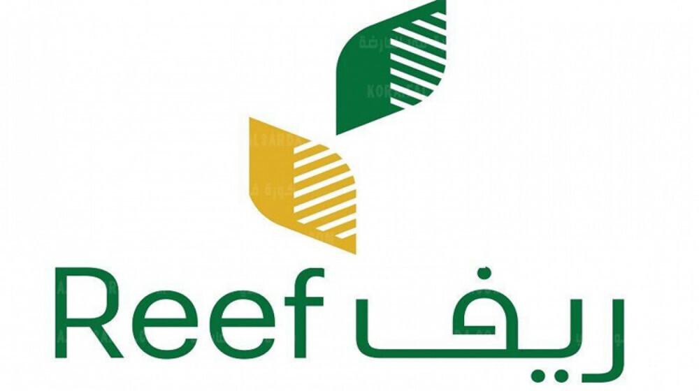 دعم الأسر المنتجة