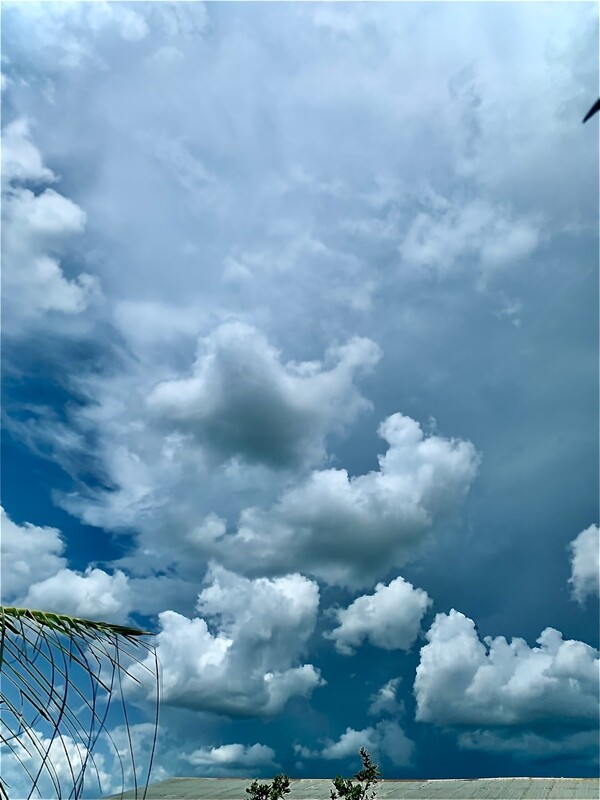 The sky