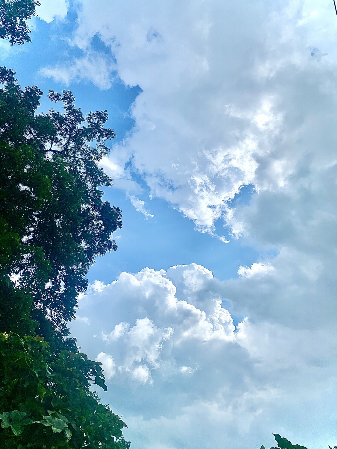 Nature