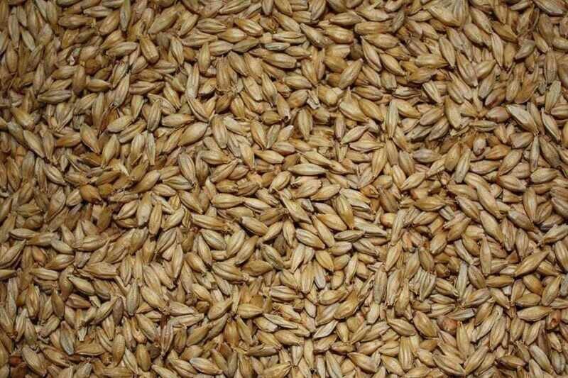 grano tenero