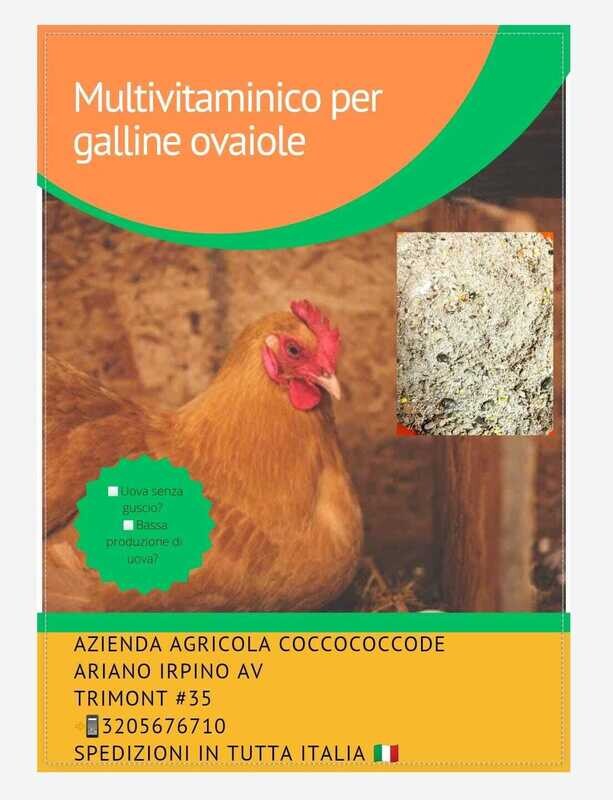 1kg Integratore a base di vitamine e gusci di ostriche per galline ovaiole.