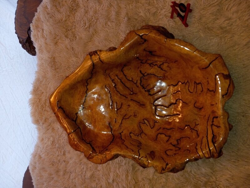 White Oak Burl Bowl #10