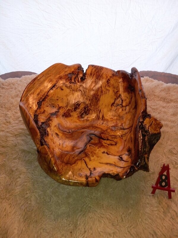 White Oak Burl Bowl #8