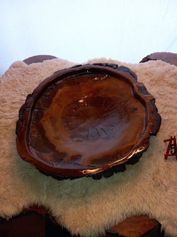Black Walnut Burl Bowl #5