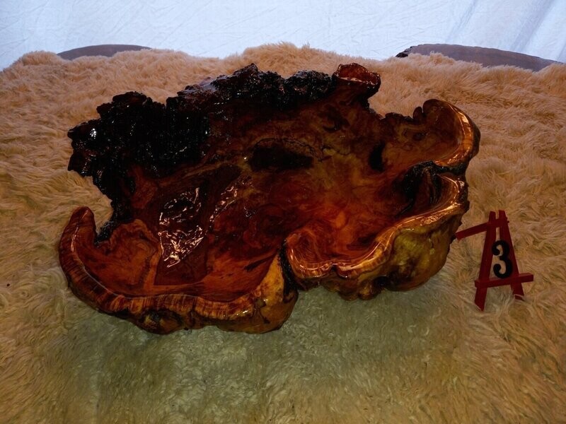 Burl Bowl - Unknown Wood # 3