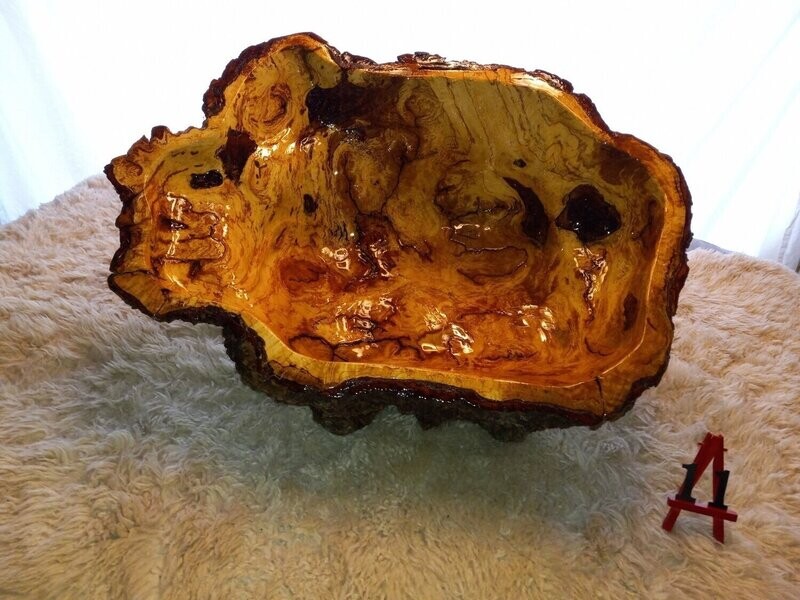White Oak Burl Bowl #11