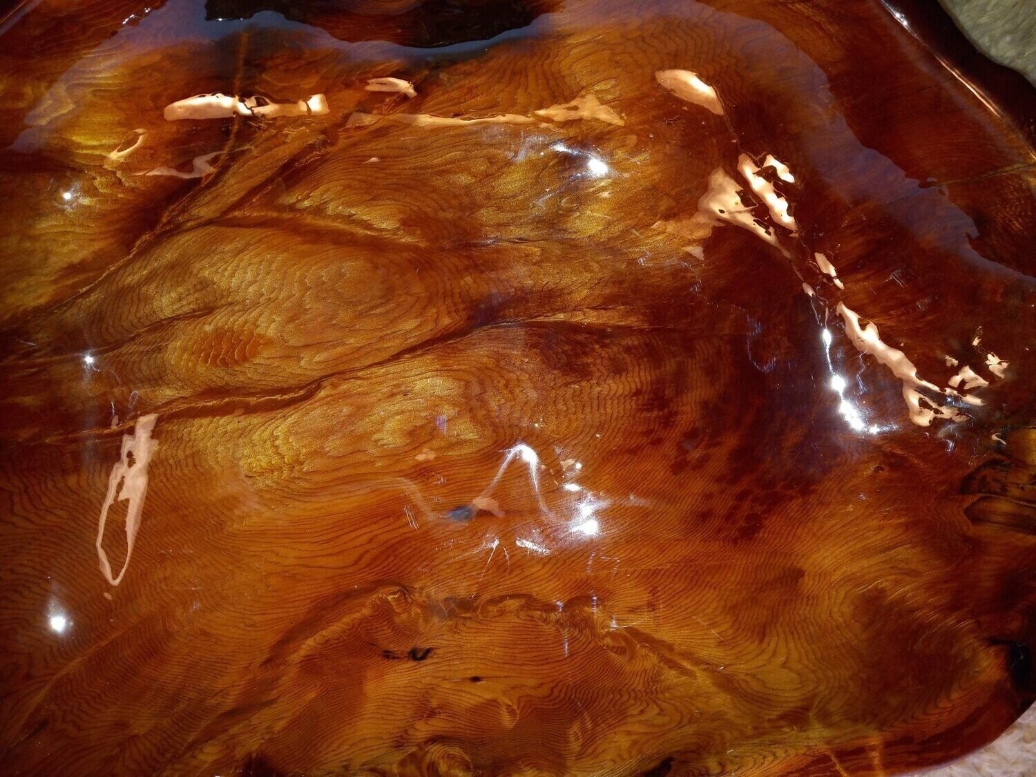 Red Wood Burl Bowl # 1