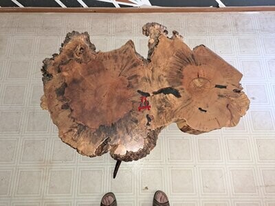 Maple Top Table #10