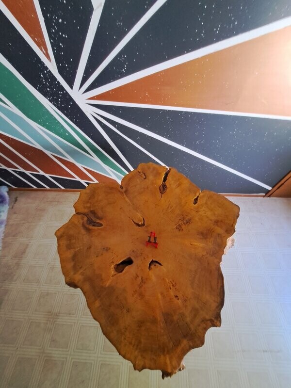 Cottonwood Top ​ Table # 11