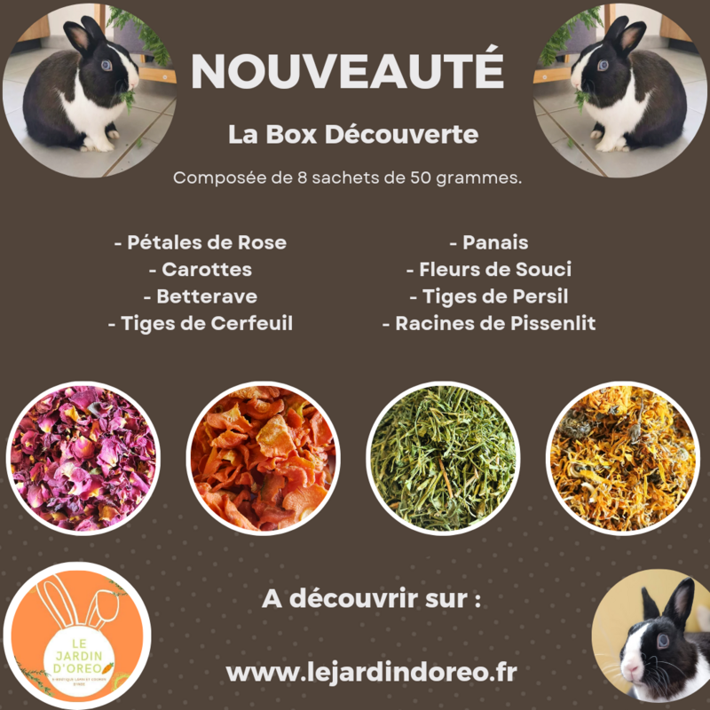 Box Découverte