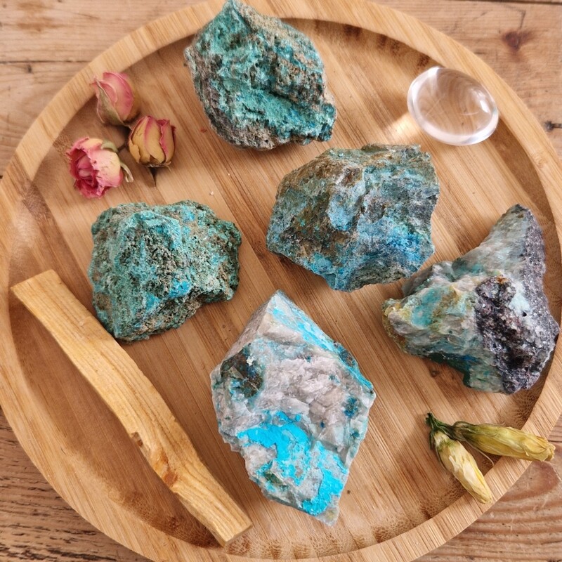 Chrysocolle Brute