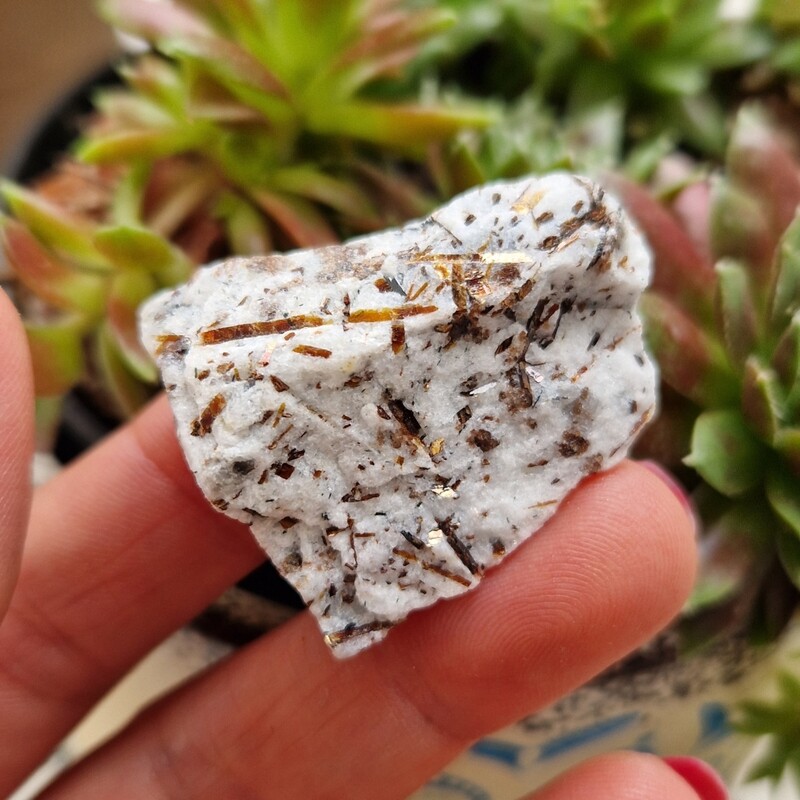 Rare pierre brute d Astrophyllite